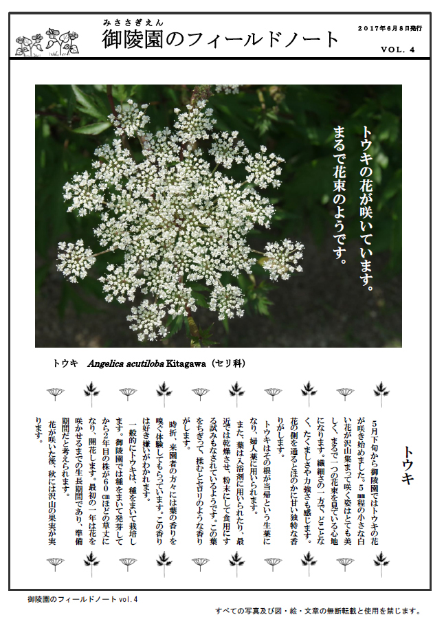 御陵園のフィールドノートVol4-1