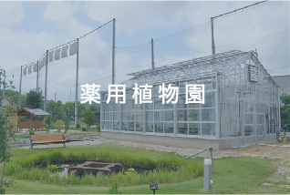 植物園からのお知らせ