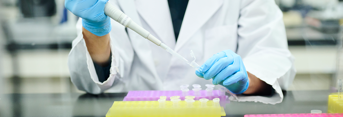 大学院薬学研究科