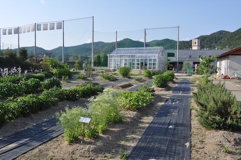 2011年薬用植物園 御陵園完成
