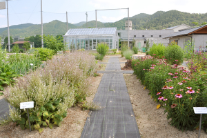 薬用植物園御陵園