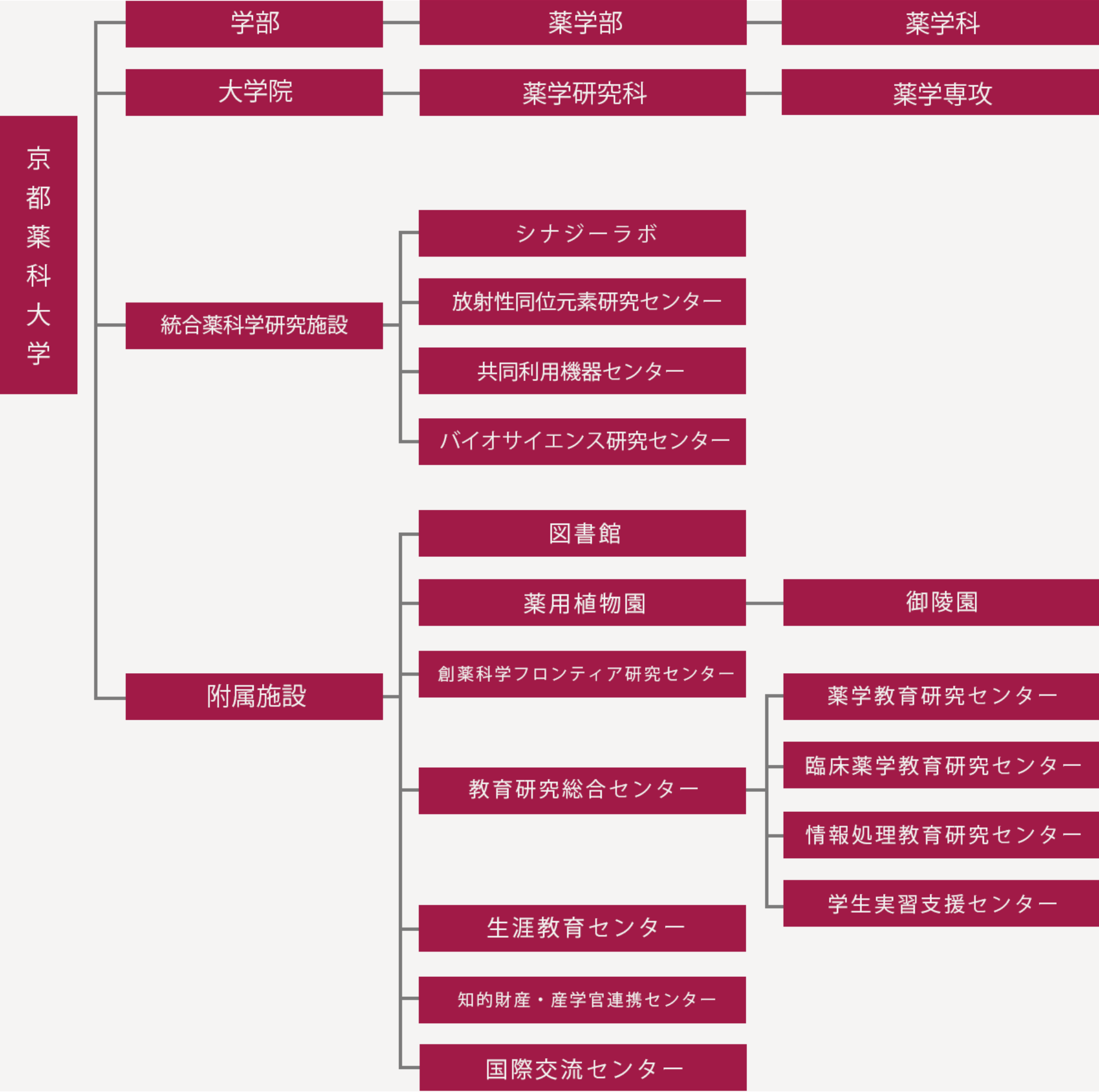 京都薬科大学組織図