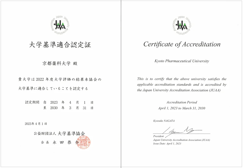 大学基準適合認定証