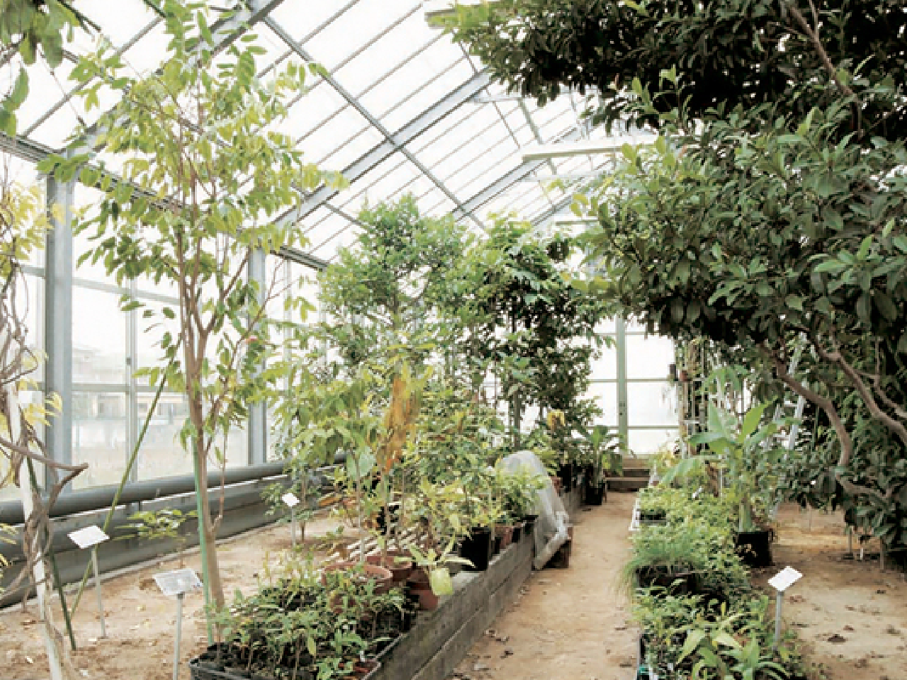 薬用植物園　画像フルサイズ02