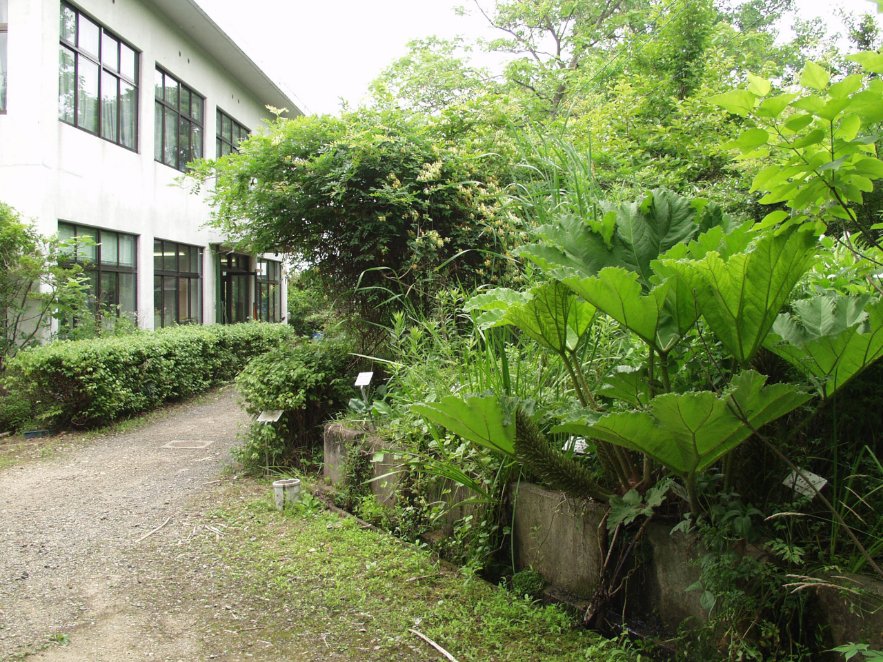 薬用植物園　画像フルサイズ03