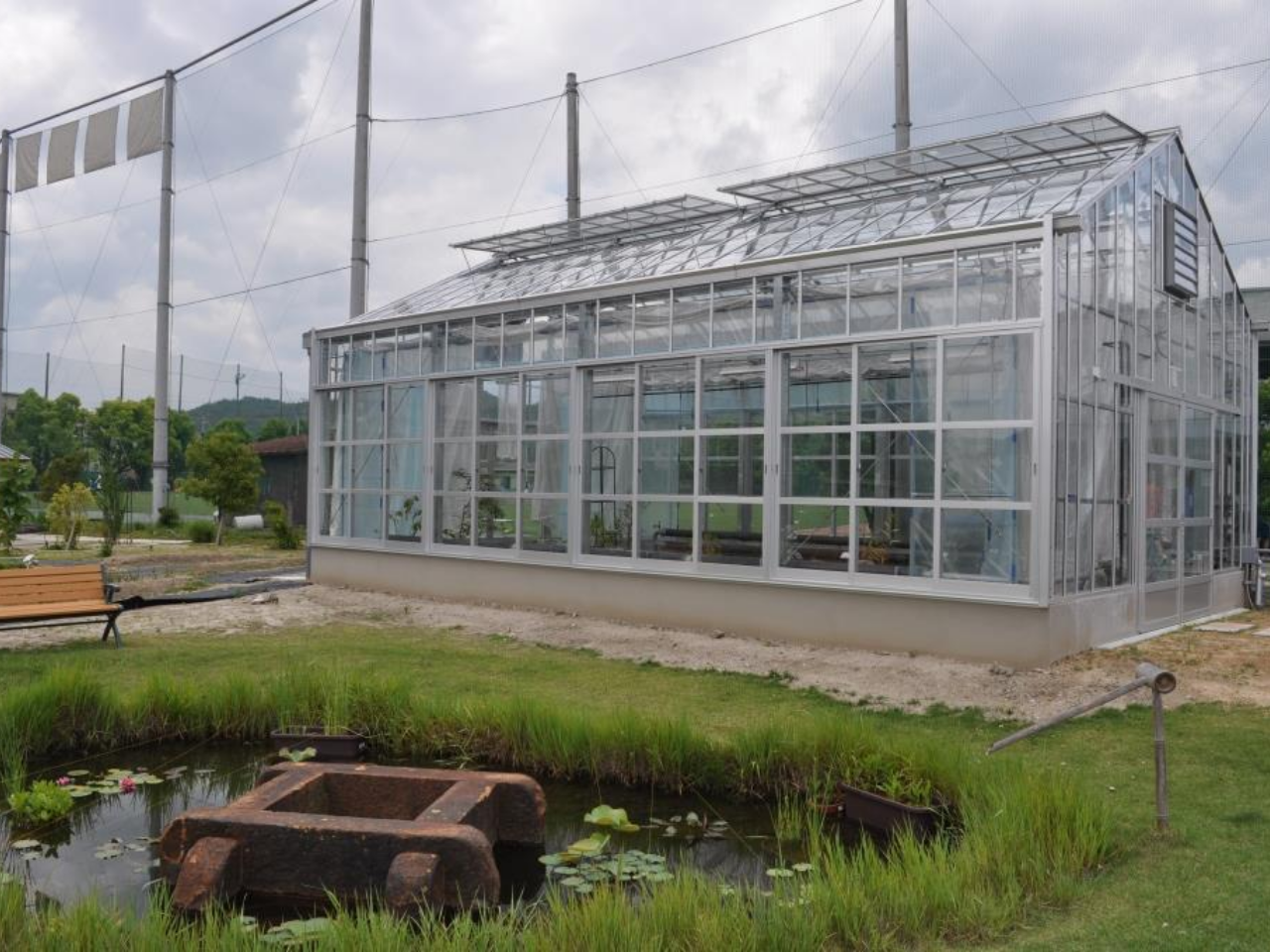 薬用植物園　画像フルサイズ06