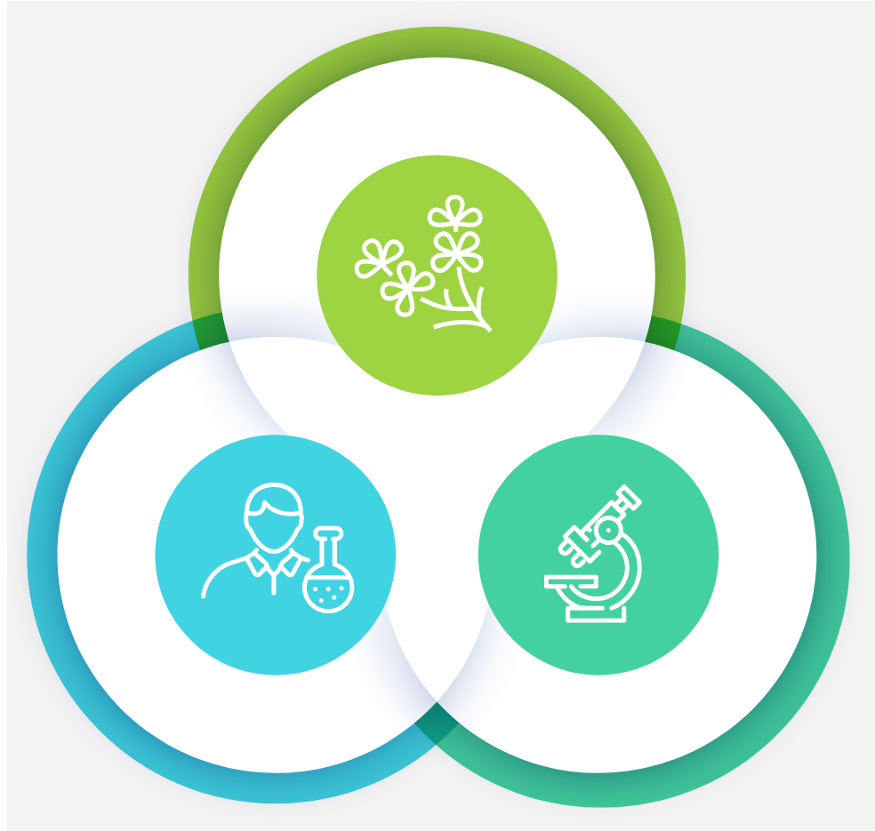 薬用植物園の目的と特徴