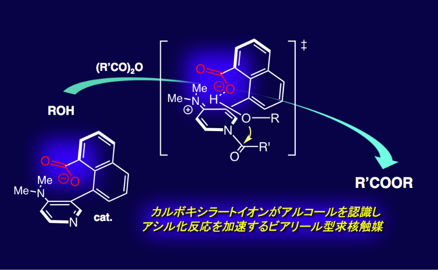 薬化学分野01