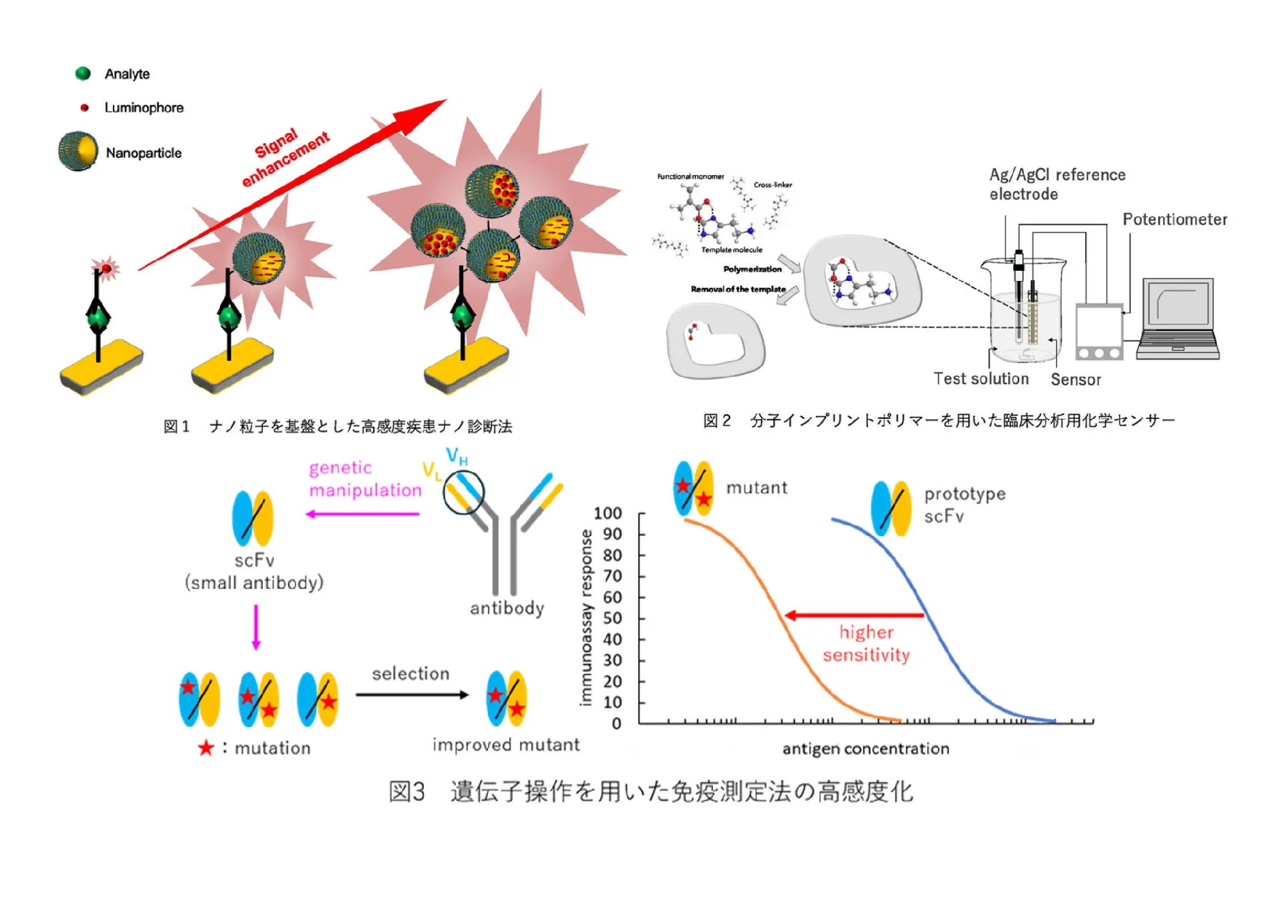 薬品分析学分野