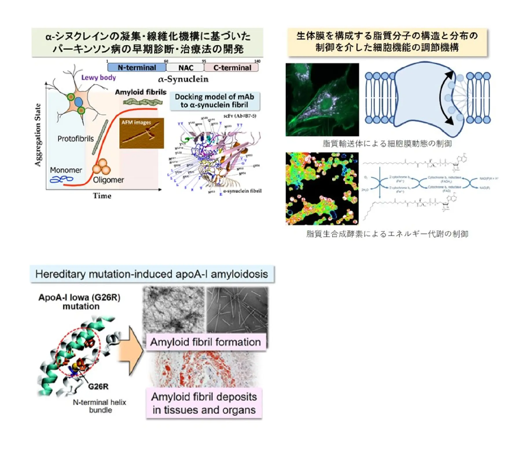 代謝分析学分野