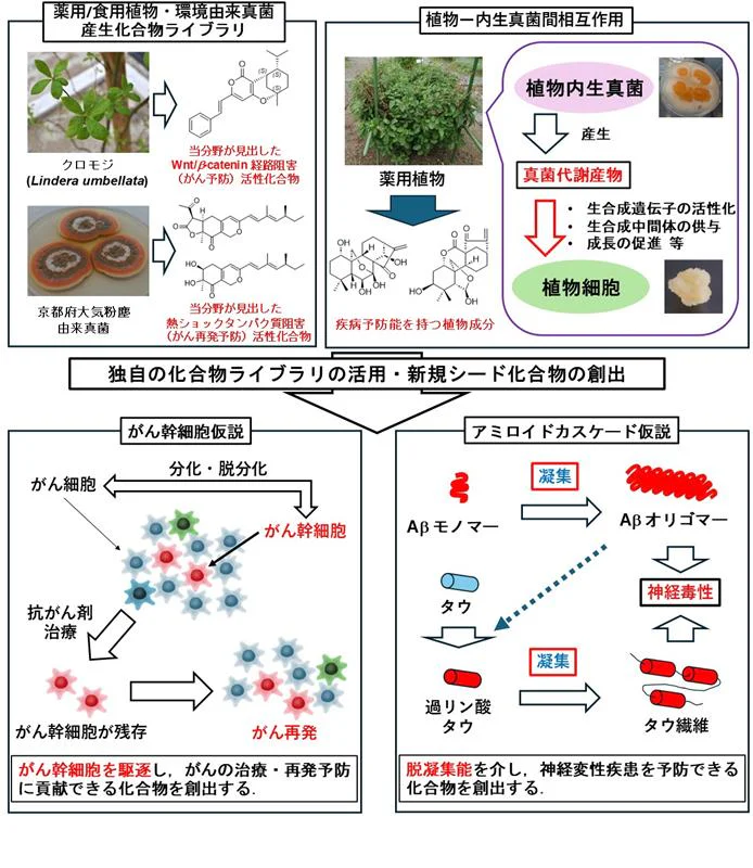 公衆衛生学分野