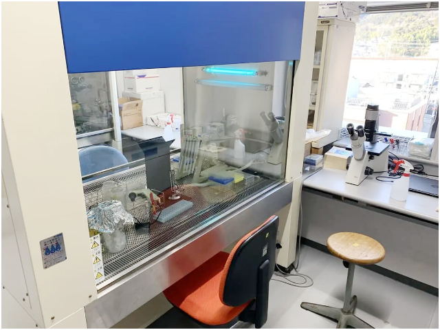 薬物治療学分野03