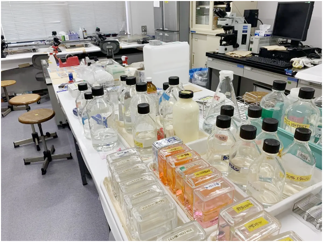 薬物治療学分野01