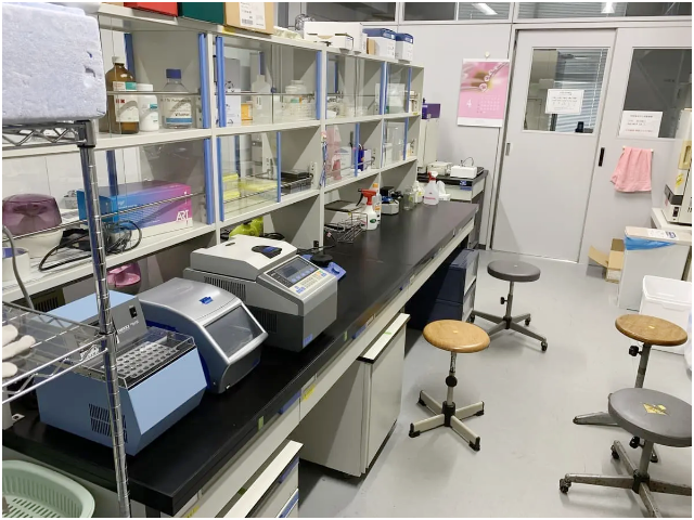 薬物治療学分野02