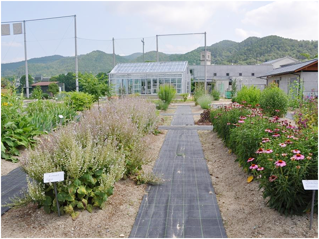 薬用植物園御陵園01