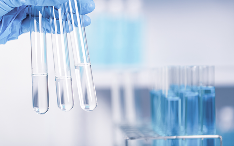 リサーチマインドの醸成