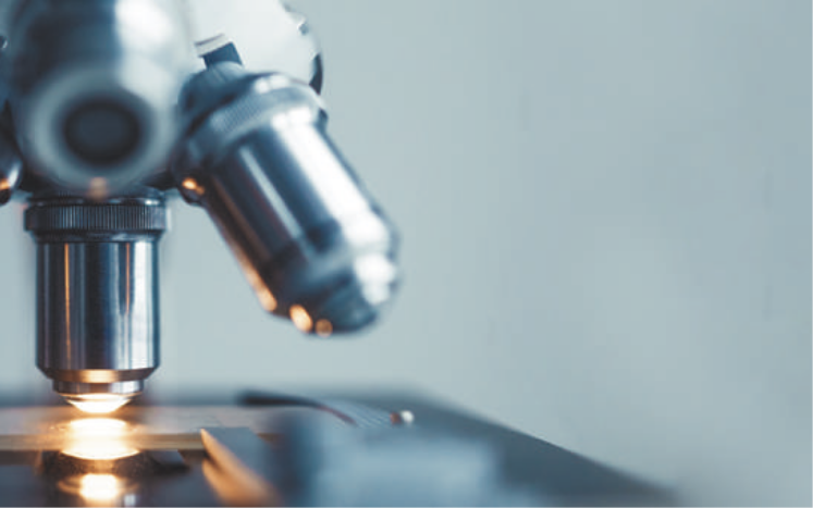 研究活動を重視した教育