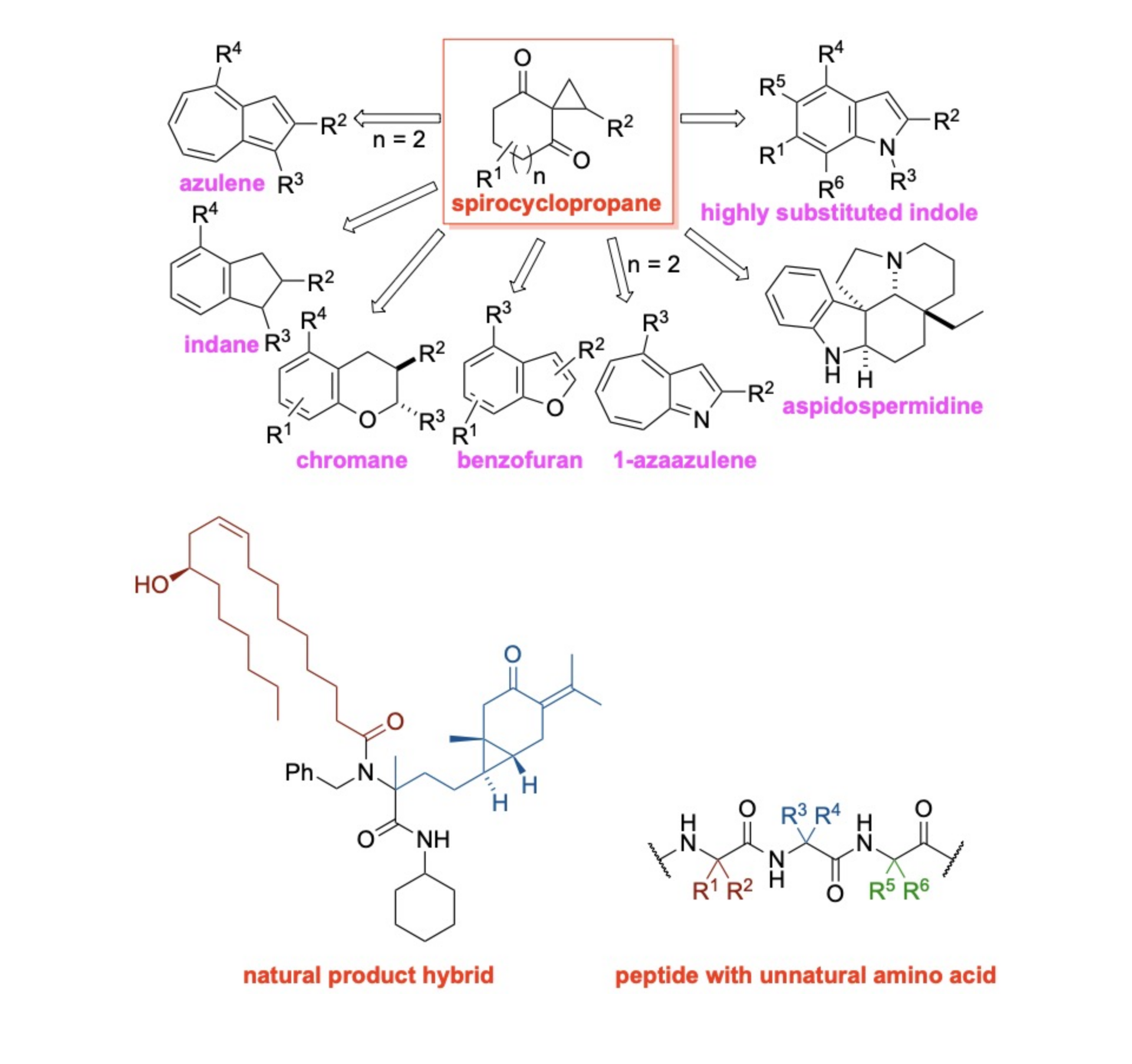 薬品製造学分野