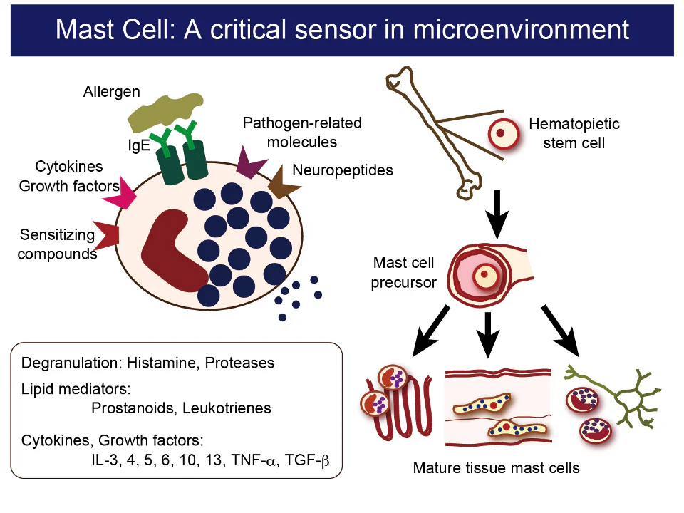 Laboratory of Pharmacology