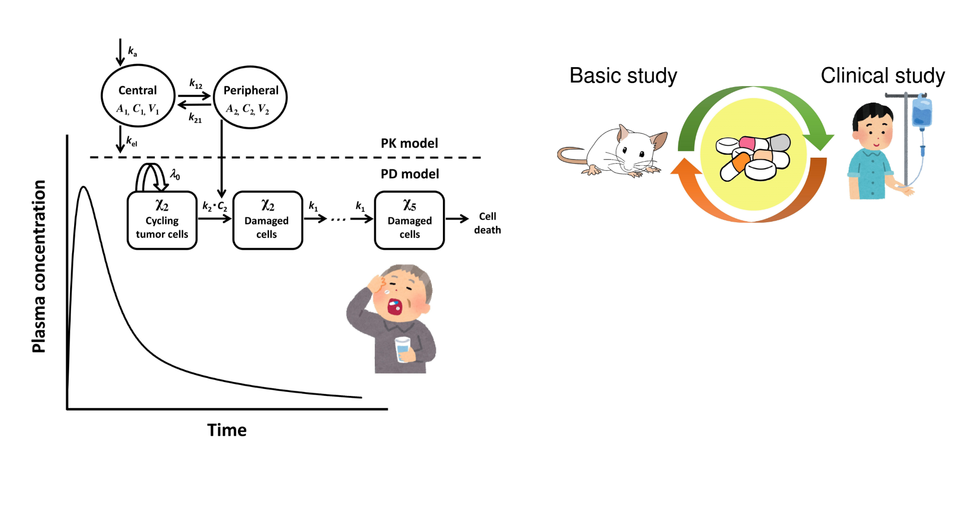 Laboratory of Pharmacokinetics